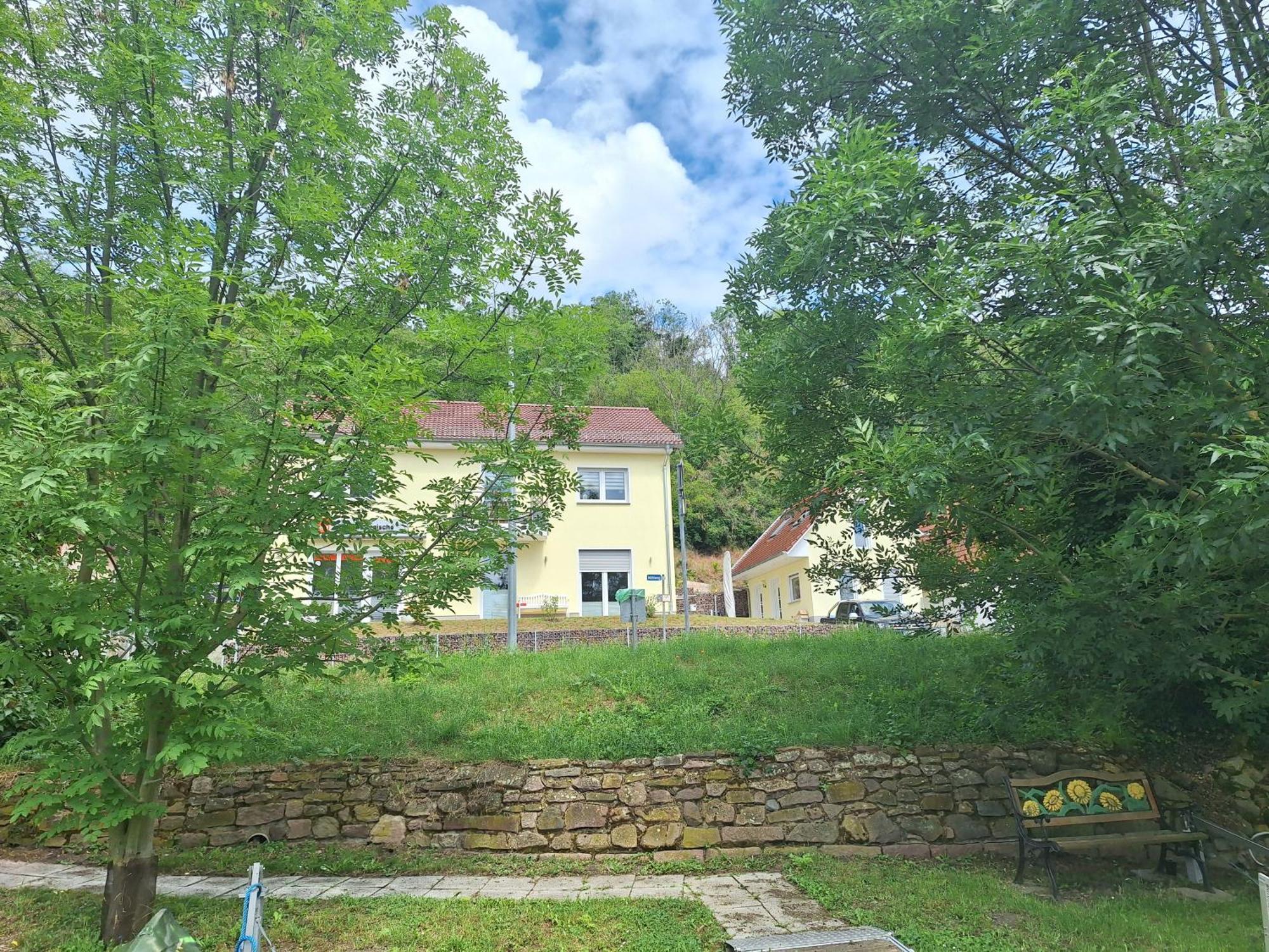Ferienhaus Saaleblick Wettin Extérieur photo