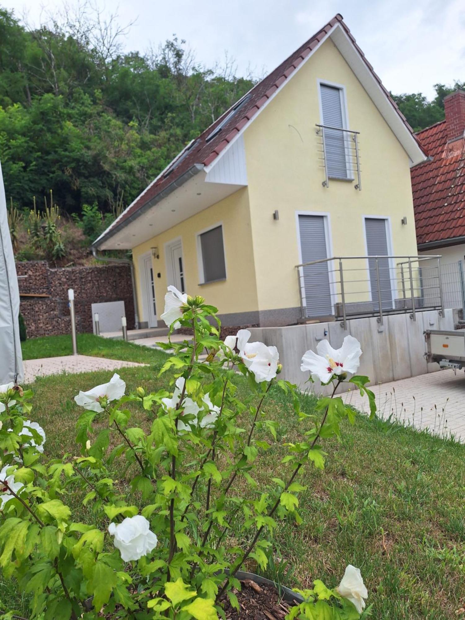 Ferienhaus Saaleblick Wettin Extérieur photo
